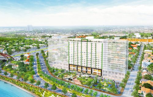 citizen tổng thể